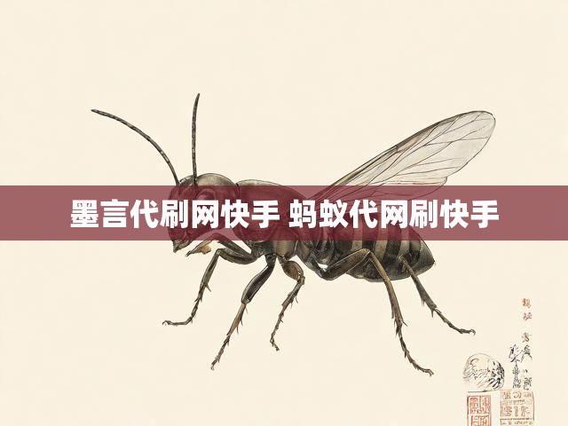 墨言代刷网快手 蚂蚁代网刷快手