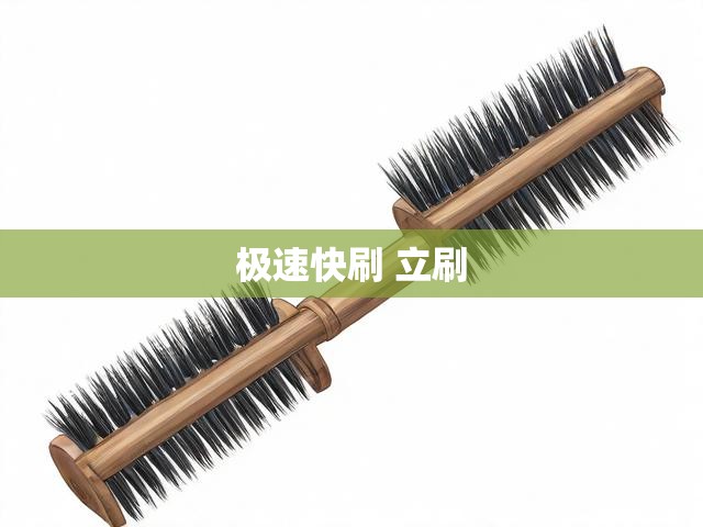 极速快刷 立刷