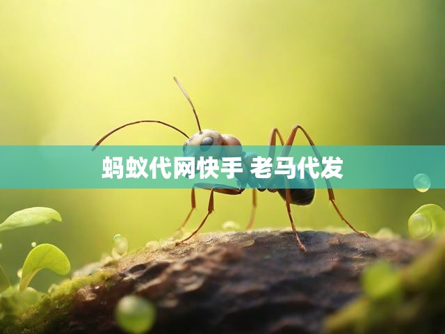 蚂蚁代网快手 老马代发