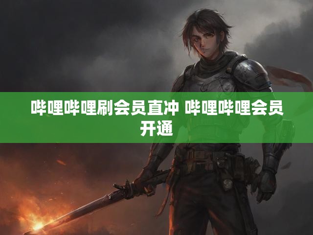 哔哩哔哩刷会员直冲 哔哩哔哩会员开通