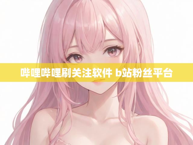 哔哩哔哩刷关注软件 b站粉丝平台