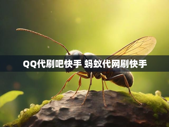 QQ代刷吧快手 蚂蚁代网刷快手