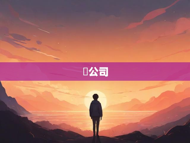 公司