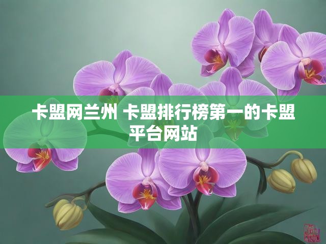 卡盟网兰州 卡盟排行榜第一的卡盟平台网站