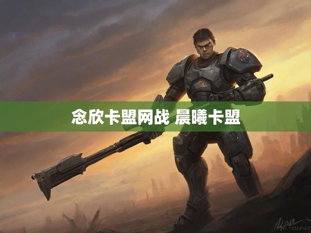 念欣卡盟网战 晨曦卡盟