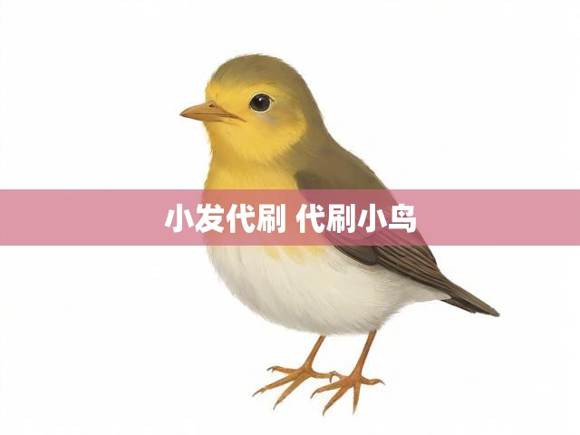 小发代刷 代刷小鸟