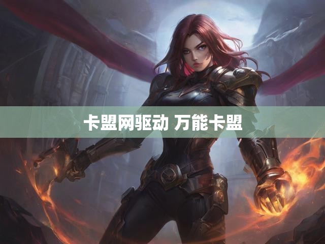 卡盟网驱动 万能卡盟