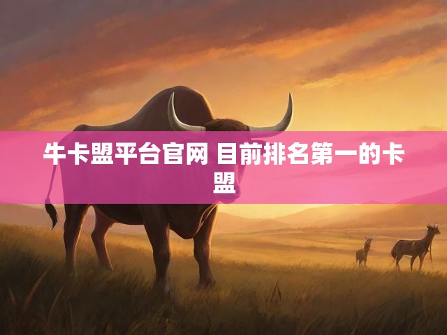 牛卡盟平台官网 目前排名第一的卡盟