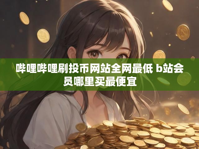 哔哩哔哩刷投币网站全网最低 b站会员哪里买最便宜