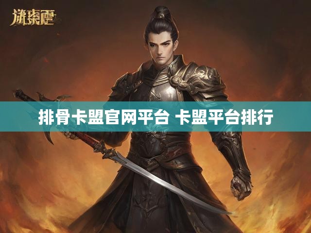 排骨卡盟官网平台 卡盟平台排行
