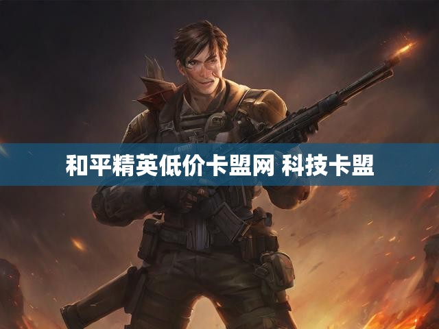 和平精英低价卡盟网 科技卡盟