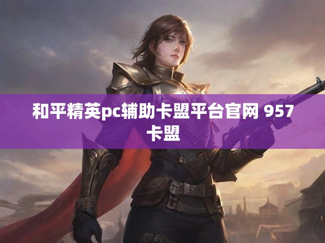 和平精英pc辅助卡盟平台官网 957卡盟
