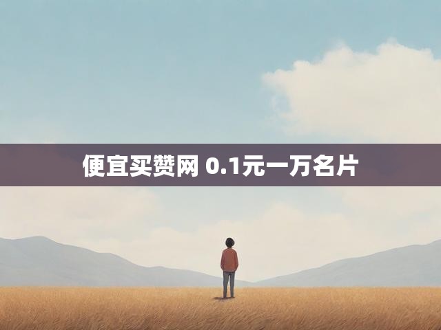便宜买赞网 0.1元一万名片