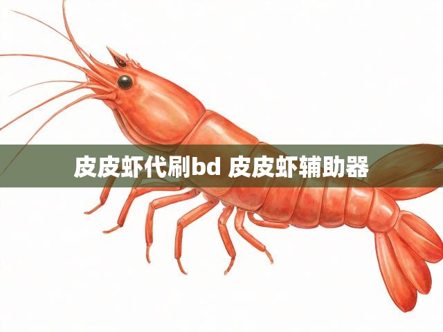 皮皮虾代刷bd 皮皮虾辅助器