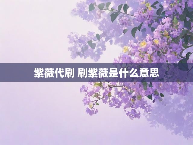 紫薇代刷 刷紫薇是什么意思