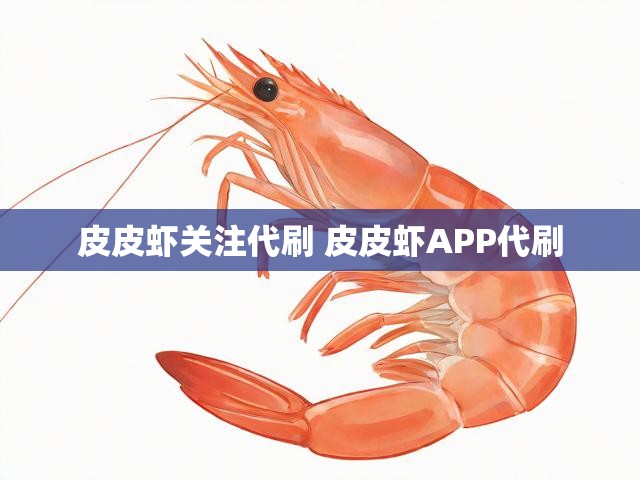 皮皮虾关注代刷 皮皮虾APP代刷