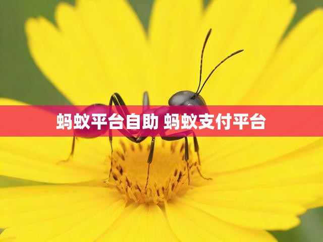 蚂蚁平台自助 蚂蚁支付平台