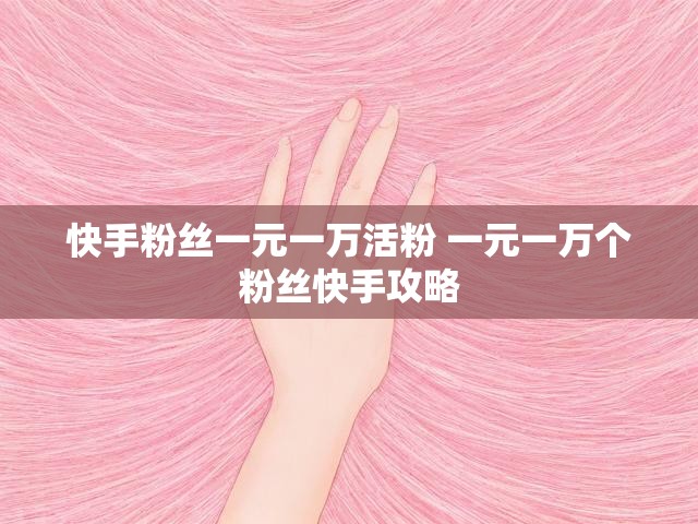 快手粉丝一元一万活粉 一元一万个粉丝快手攻略