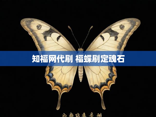 知福网代刷 福蝶刷定魂石