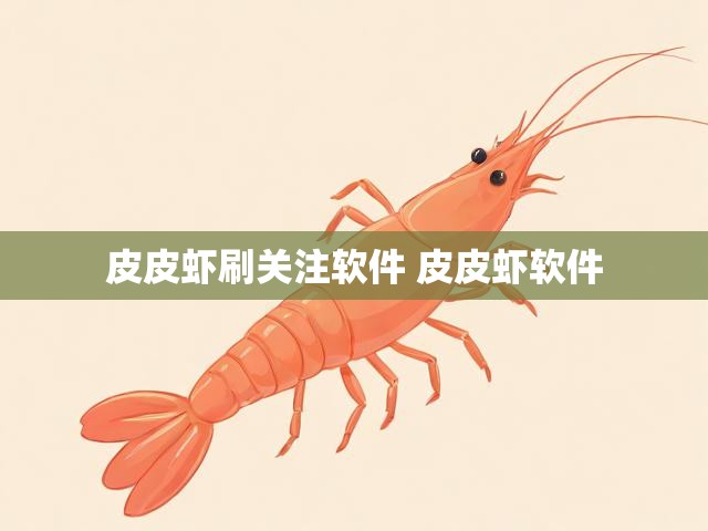 皮皮虾刷关注软件 皮皮虾软件