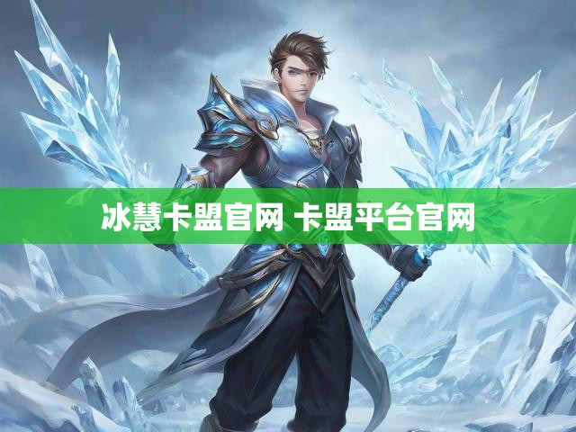 冰慧卡盟官网 卡盟平台官网