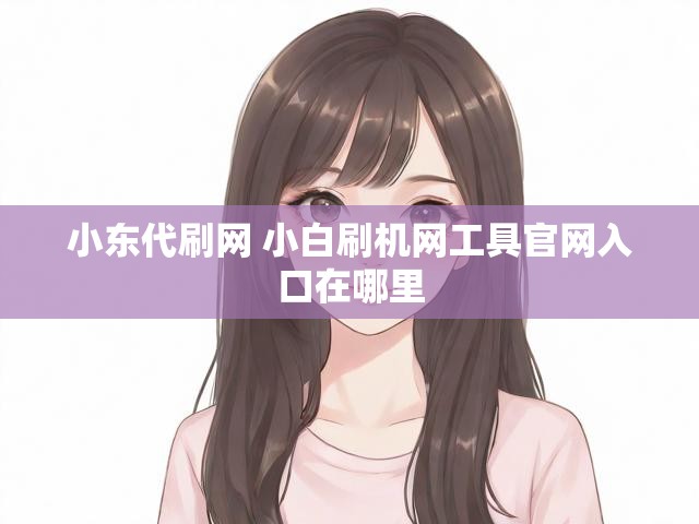 小东代刷网 小白刷机网工具官网入口在哪里
