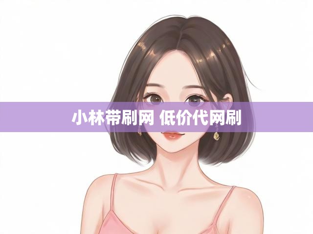 小林带刷网 低价代网刷